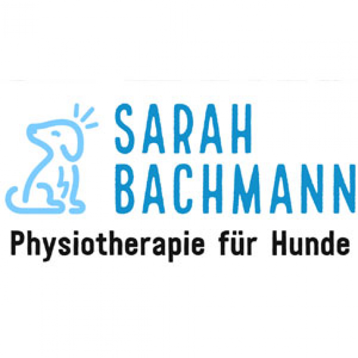 Hundephysiotherapie Sarah Bachmann